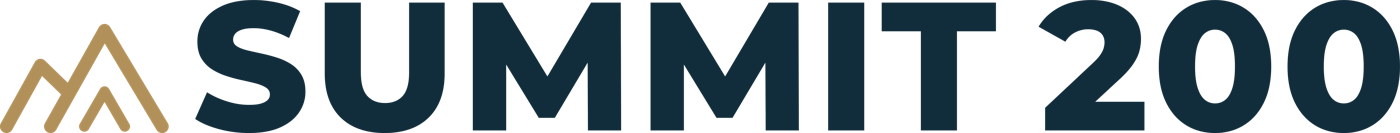 SUMMIT 200 sign artwork: bronze open-peak mark with navy lettering